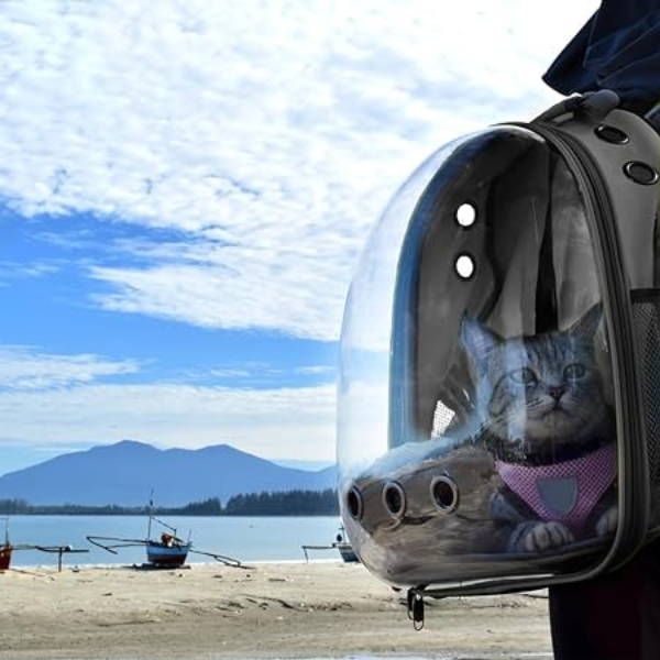 Mochila Pet Para Transporte de Cães E Gatos (COR PRETA)