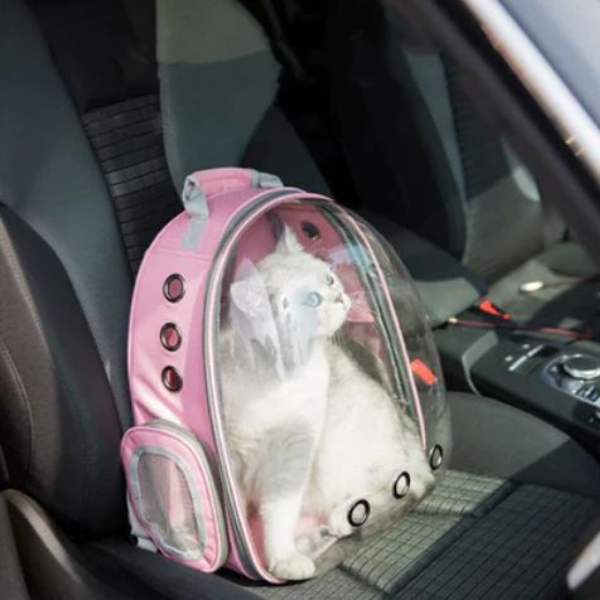 Mochila Pet Para Transporte de Cães E Gatos (COR ROSA)