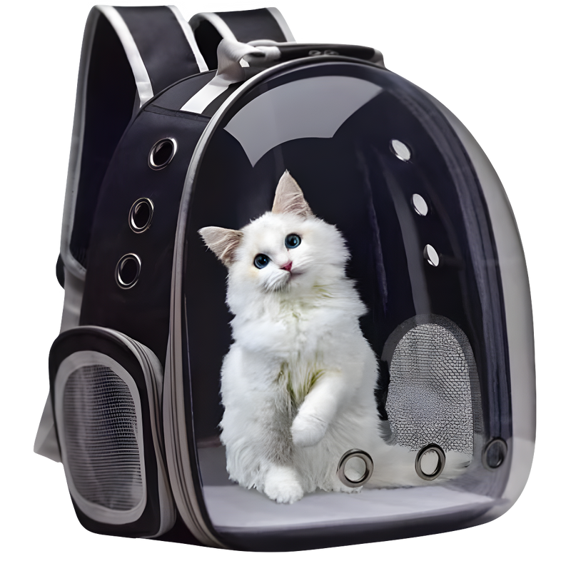 Mochila Pet Para Transporte de Cães E Gatos (COR PRETA)